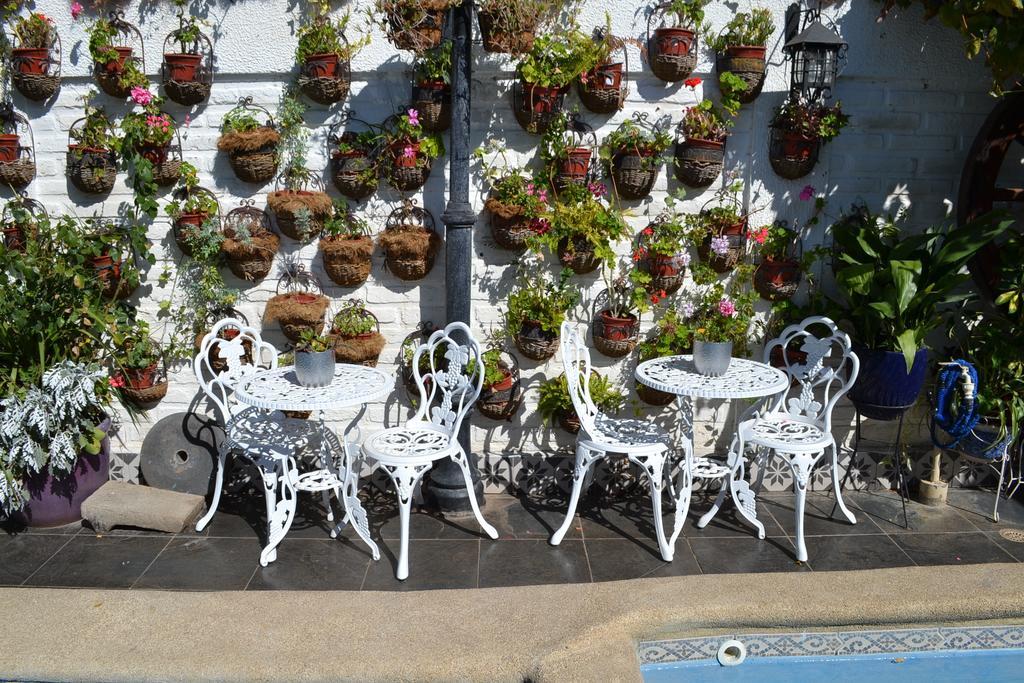 Hotel Vendimia Boutique Санта-Крус Экстерьер фото